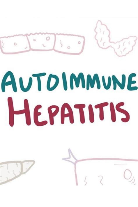 Autoimmune Hepatitis Causes Symptoms And Diagnosis Schoen Med