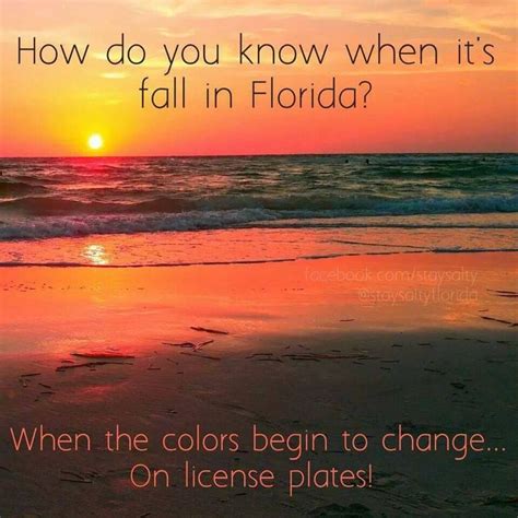 19 Best Fall In Florida Images On Pinterest Fall
