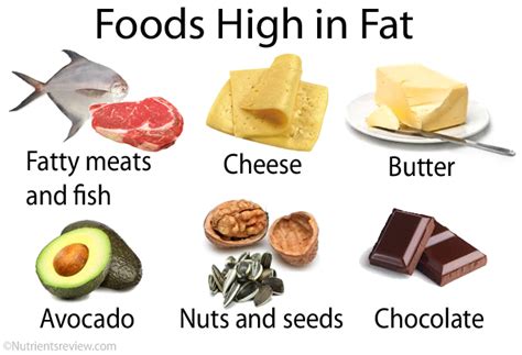 Are Fats Good Or Bad For You Fat Types Food Examples