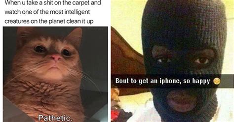 Savage Funny Savage Grumpy Cat Memes Factory Memes