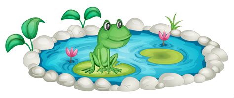 Frog In A Pond 521158 Vector Art At Vecteezy