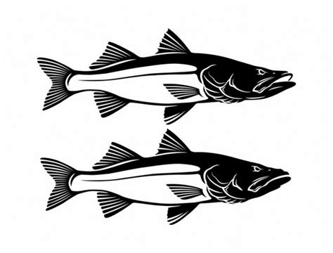 100000 Snook Fish Vector Images Depositphotos