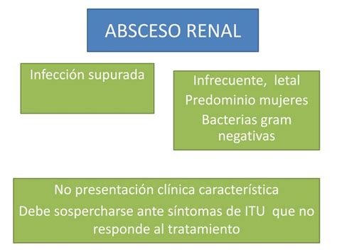 Absceso Renal Causas SÍntomas Y Tratamiento Ppt