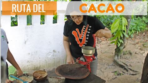 Ruta Del Cacao En Tabasco YouTube