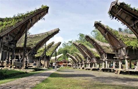 Berikut 6 Rekomendasi Tempat Wisata Di Tana Toraja Sulawesi Selatan Wajib Dikunjungi Jurnal