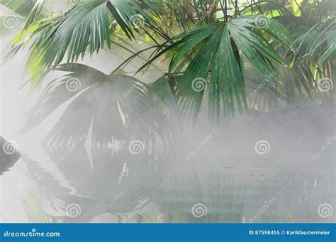 Mist Over The Water Stock Image Image Of Heat Detail 87598455