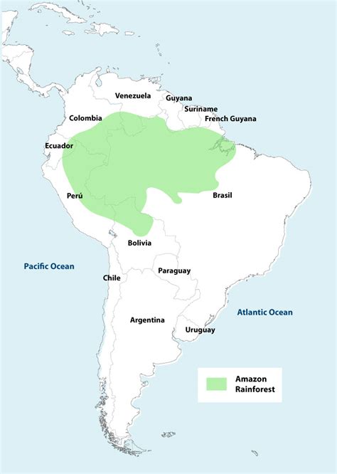 William Worrall Cas137h Blog Save The Amazon Rainforest