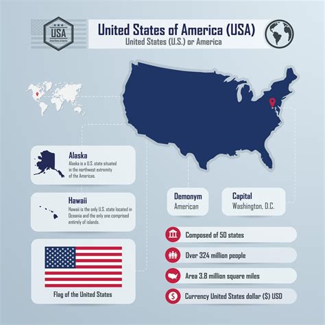 Infographic Design Of United States Of America Usa 3126546 Vector Art