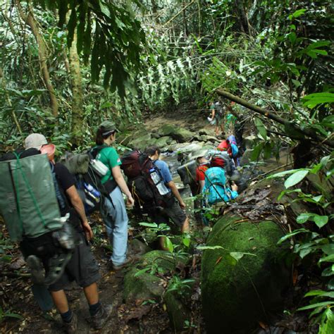 Law of the jungle is a hybrid reality show combining elements of drama and documentary. ZIP BORNEO - KIULU VALLEY ~ JomBahTravel