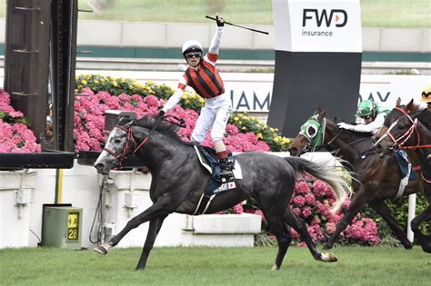 Language 日本語 english 简体中文 繁體中文. 【競馬】 香港国際競走受諾の日本馬6頭が発表される : ギャン速 ...