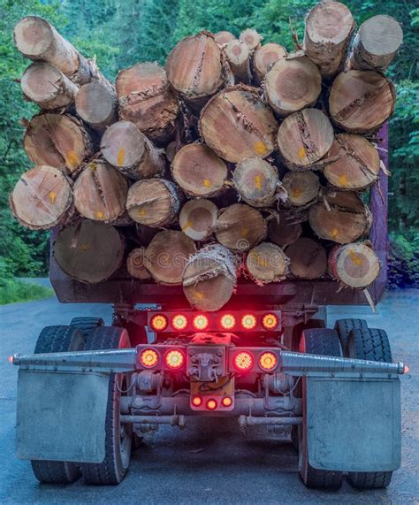 Back Of Logging Truck Stock Photo Image Of Logging Pine 98789658