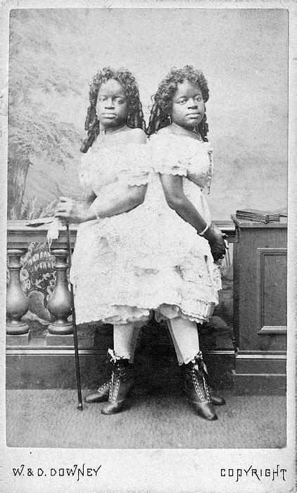vintage siamese twin sisters greeting card by david hinds
