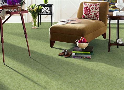 Carpets For Living Room Beautiful Tidy Green Carpet For Living
