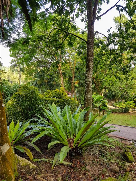 It is about 5 minutes drive from the transportation hub of kl sentral. PERDANA BOTANICAL GARDEN KUALA LUMPUR