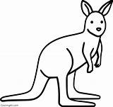 Kangaroo Coloring Wallaby Easy sketch template