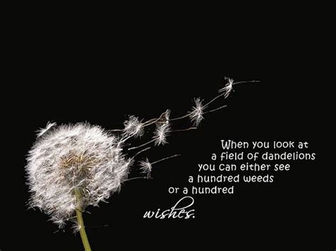 wishes quotes inspirational positive dandelion quotes sweet quotes