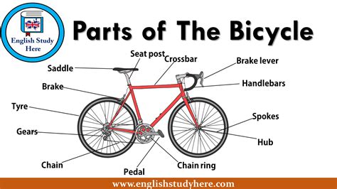 Parts Of The Bicycle English Study Here