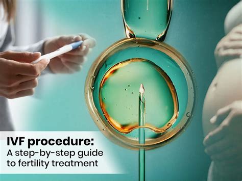 Ivf Procedure A Step By Step Guide To Fertility Treatment By Apurba Digitalgoogly Medium