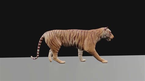 Blender 28 Improved Tiger Walk Youtube