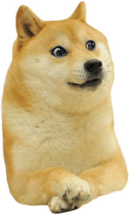 Doge Except Hes Looking To The Side Png Rdogelore Ironic Doge