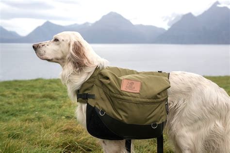 5 Best Saddle Bags For Dogs 2018 Canine Packs For Hiking Hills