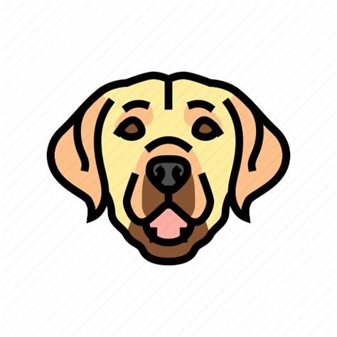 Labrador Retriever Dog Puppy Pet Animal Icon Download On Iconfinder