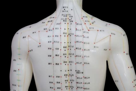 Acupuncture Points Charts And Meanings Won Institute