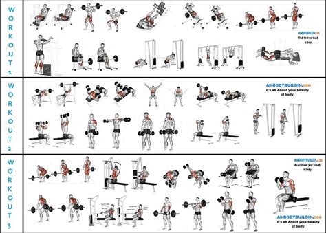 6 Week Mass Building Routine Beginners Gym Workout Plan Gym Workout