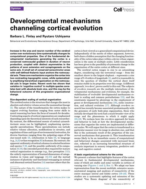 Pdf Developmental Mechanisms Channeling Cortical Evolution