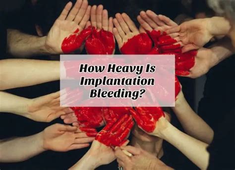How Heavy Is Implantation Bleeding Updated 2024