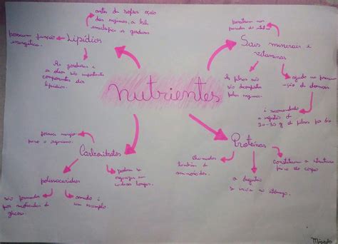 Mapa Mental Sobre Nutrientes EDUBRAINAZ