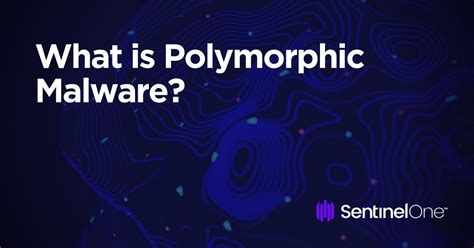 What Is Polymorphic Malware An Easy Guide 101