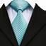 DN 1416 Hi Tie Classic Mens Ties Fashion Green Necktie 100% Silk 