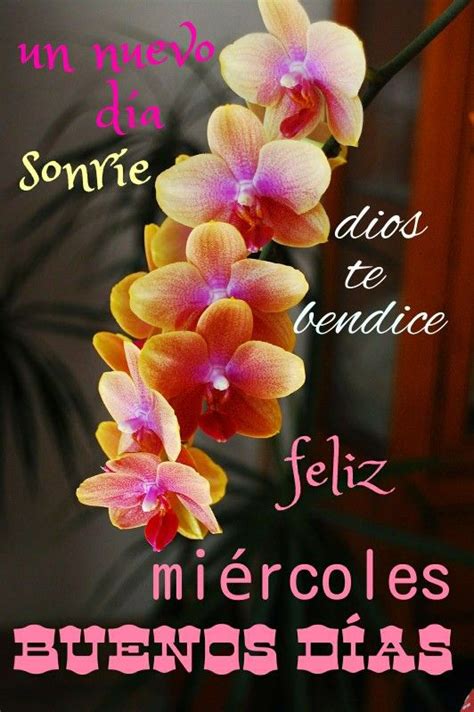 An Image Of Flowers With The Words In Spanish And English On It S Side