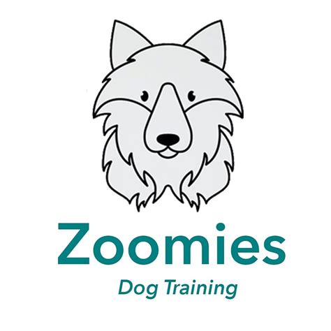 Zoomies Dog Training