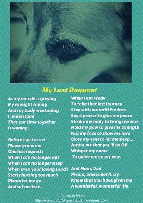 When we are grieving the loss of a beloved pet, we are actually mourning several losses at the same time. Next week | Dog poems, Pet loss grief, Dog love