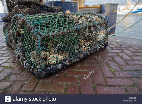 A Crab Fishing Cage Filled With Left Over Crab On The Docks Of The