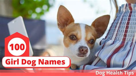 Female Dog Names 100 Of The Top Girl Dog Names For 2020 Dog Health