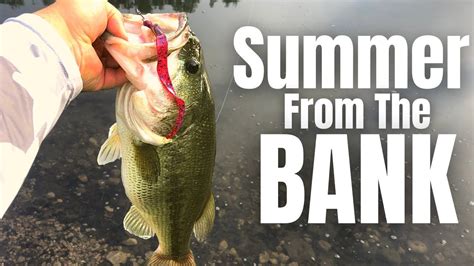 Summertime Bass Fishing From The Bank 3 Lures You Need Bass Fishing