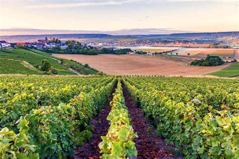 Visiting French Vineyards These Are 10 Of The Best Wine Regions In France