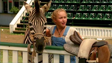 Hayden Panettiere As Channing Walsh In Racing Stripes Pic Image Of