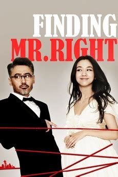 In search of a nemesis, harley goes after batman , but ends up with an adolescent robin. ‎Finding Mr. Right (2013) directed by Xue Xiaolu • Reviews ...