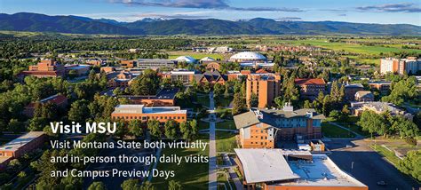 Montana State University Acceptance Rate Educationscientists