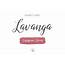 Lavanga  Font Instagram Stories Script Fonts Creative Market