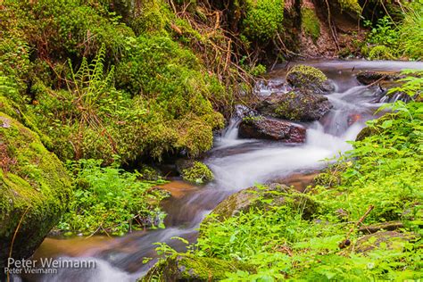 Little Creek Little Creek In The Bavarian Forest Nationalp Flickr