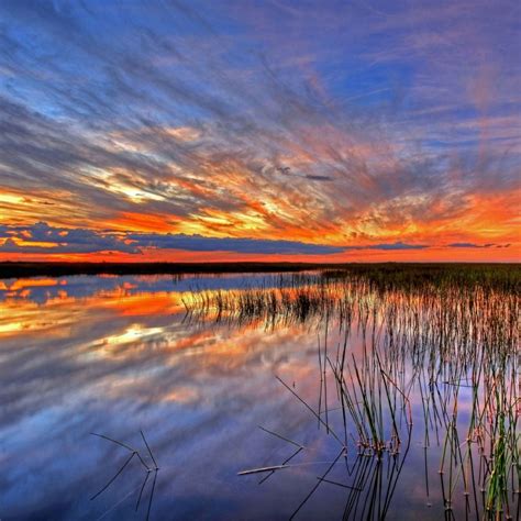 Florida Isnt Complete Without Stopping At Everglades National Park