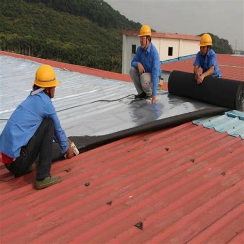 常见屋顶防水材料大盘点