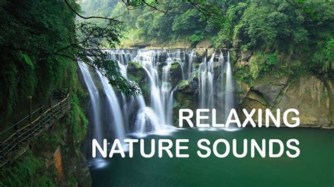 Relaxing Nature Sounds Waterfall Sounds For Meditation Yoga Stress