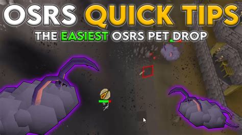 Here are the top 10 p2p skilling money makers in osrs, ranked in order by requirements (easiest > hardest). The Easiest OSRS Pet Drop - OSRS Quick Tips in 3 Minutes ...