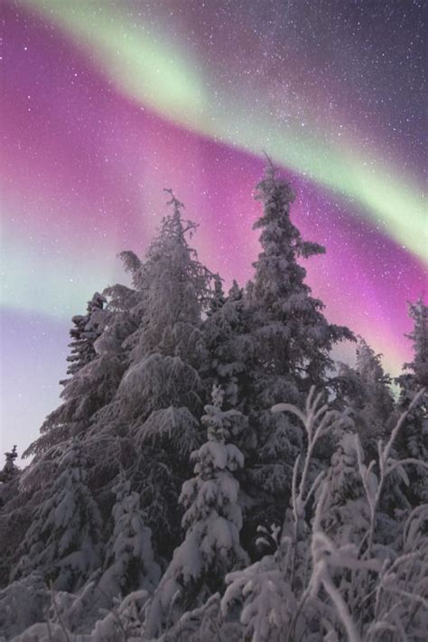 Mystical Aurora Borealis Northern Lights Beautiful Sky Nature